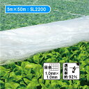 5m×50m ベタ掛け 防虫サンサンネット ソフライト SL2200 台風対策 ゲリラ豪雨対策 防虫 防鳥 日本ワイドクロス カ施 個人宅配送不可 代引不可
