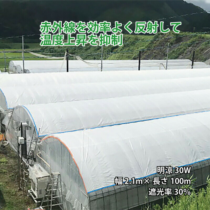 ハウス用シート ワリフ 明涼 30W 幅2.1m 長さ100m 遮光率30％ 農業用被覆材 ビニールハウス ハウスの外掛け 内張り JX ANCI 日新商事 サT 代引不可