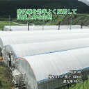 ハウス用シート ワリフ 明涼 40 幅2.1m 長さ100m 遮光率40% 農業用被覆材 ビニールハウス ハウスの外掛け 内張り JX ANCI 日新商事 サT...