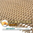 BPチェーンポット BP253 150冊（個）364鉢 播種 種まき 育苗 ネギ 玉ネギ bp253 チェーンポット 紙筒 ひっぱりくん ニッテン 日本甜菜製糖 タS D