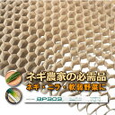 BPチェーンポット BP303 150冊 (個) 264鉢 播種 種まき 育苗 ネギ ニラ 軟弱野菜 bp303 チェーンポット 紙筒 ひっぱりくん ニッテン ...
