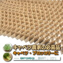 BPチェーンポット BP353 150冊 (個) 190鉢 播種 種まき 育苗 キャベツ ブロッコリー bp353 チェーンポット 紙筒 ひっぱりくん ニッテン...