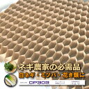 チェーンポット CP303 1冊 (単品) 株間5cm 264鉢 播種 種まき 育苗 ネギ 三つ葉 花き類 野菜 農業 cp303 紙筒 ひっぱりくん ニッテン...