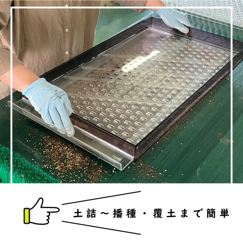 【6/1〜最大100%Pバック抽選で要エントリー】播種5点セット CP300 2粒LL-小 チェー...