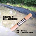 アゼマルチ 厚さ0.03mm×巾55cm×長さ200m 畦畔シート ポリシート あぜマルチ 畦マルチ あぜシート アゼシート 畦シート 漏水防止 防草効果 田ん...