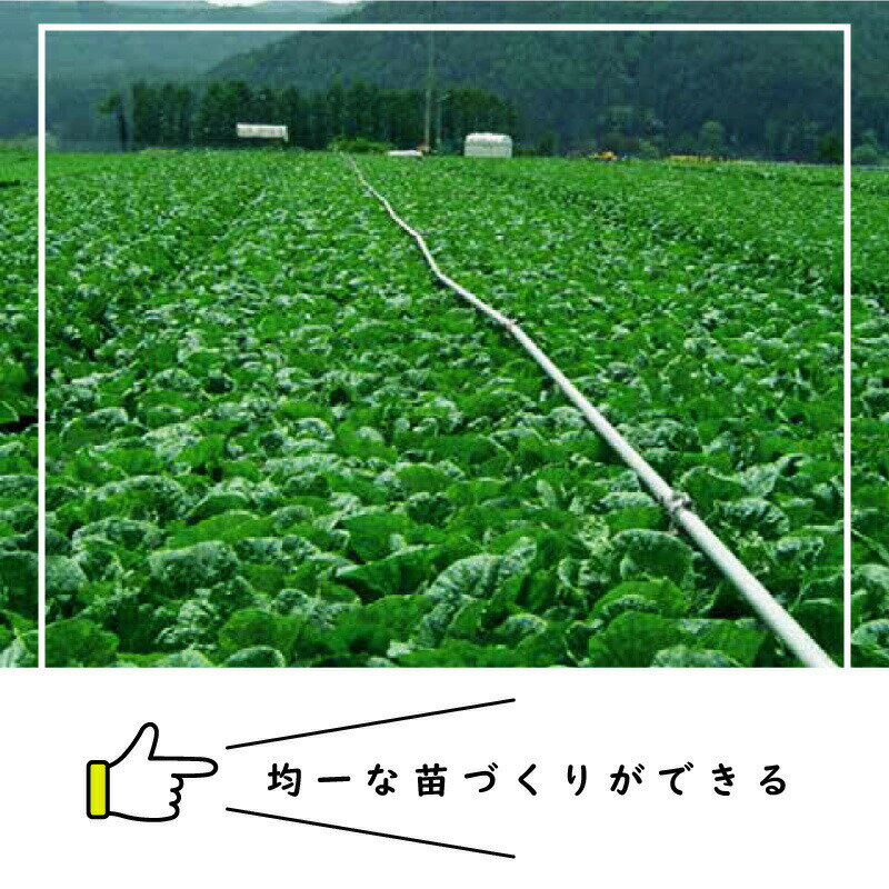 【6/1〜最大100%Pバック抽選で要エントリー】ペーパーポット No.10 10号 200冊 (個...
