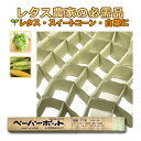 ペーパーポット No.11 11号 1冊 (単品) 128鉢 生分解性 紙筒 播種 種まき 育苗 苗 レタス スイートコーン 白菜 春菊 野菜 ニッテン タS ...