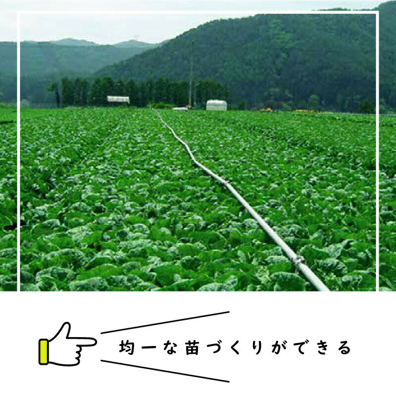 【6/1〜最大100%Pバック抽選で要エントリー】ペーパーポット No.14 14号 300冊 (個) 105鉢 生分解性 紙筒 播種 種まき 育苗 苗 白菜 キャベツ ハナヤサイ レタス ニッテン タS 個人宅配送不可 代引不可 2