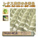 ペーパーポット No.15 15号 1冊 (単品) 220鉢 生分解性 紙筒 播種 種まき 育苗 苗 レタス スイートコーン ネギ ニラ ニッテン タS DZ