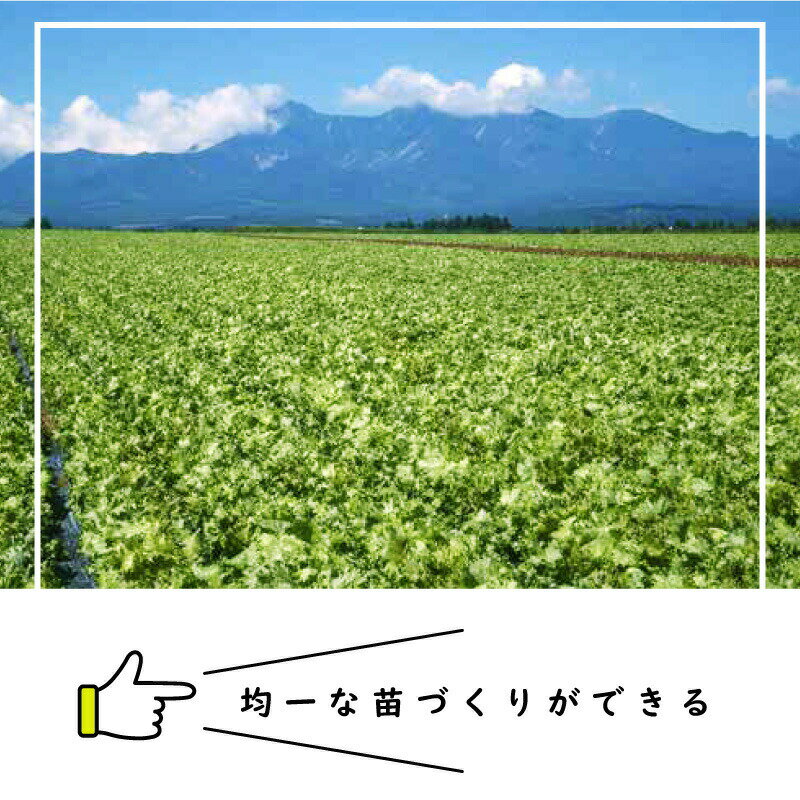 【6/1〜最大100%Pバック抽選で要エントリー】ペーパーポット No.15 15号 200冊 (個...