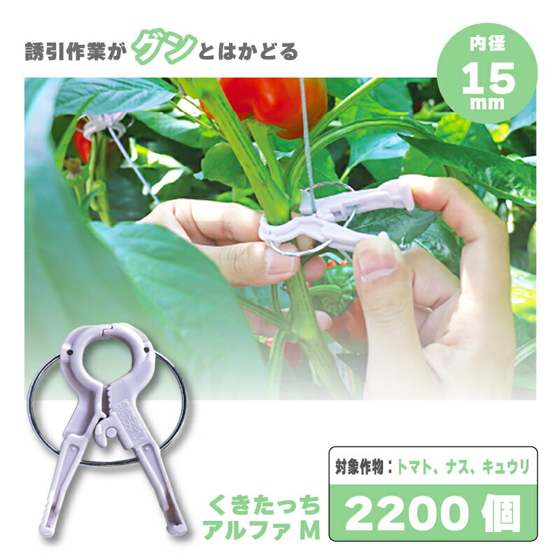 楽天市場】くきたっち アルファの通販