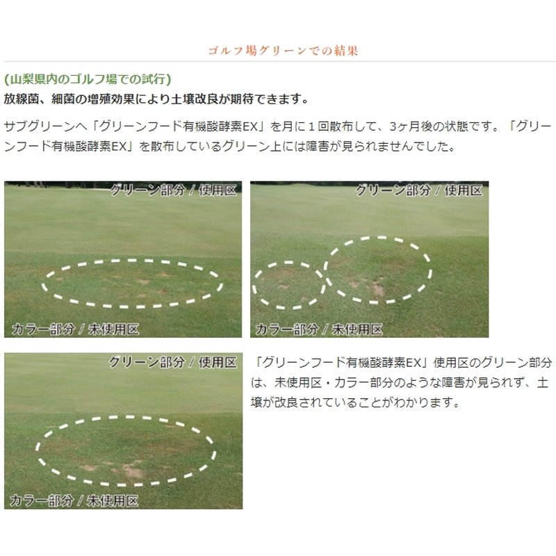 【6/1〜最大100%Pバック抽選で要エントリー】土壌改良 グリーンフード 有機酸酵素E...