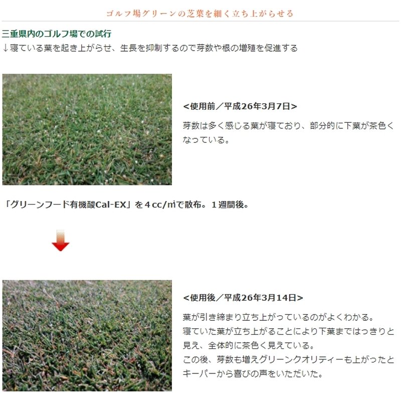 【6/1〜最大100%Pバック抽選で要エントリー】植物細胞促進 グリーンフード 有機酸...