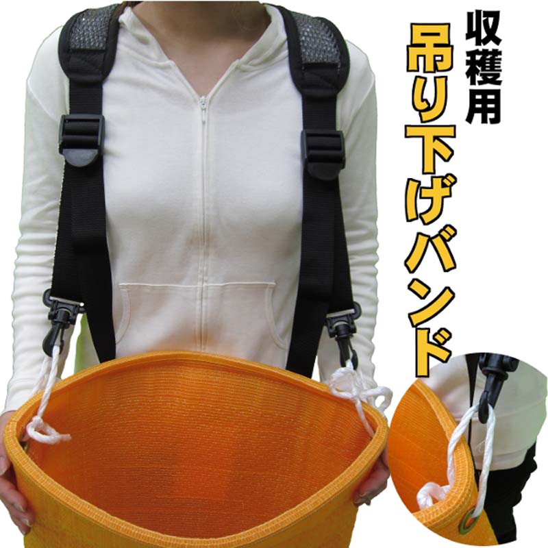 【6/1〜最大100%Pバック抽選で要エントリー】24個 収穫用 吊り下げバンド 果実・野...
