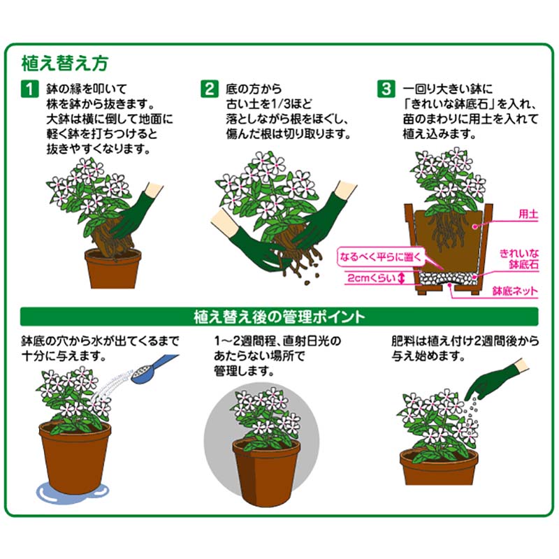 ��100%�ݥ���ȥХå� ����ȥ꡼������2/25�ޤǡ�24�� �֤����� ���줤��ȭ���� 2L ������� ȭ���� ��S �Ŀ��������Բ� ����Բ�