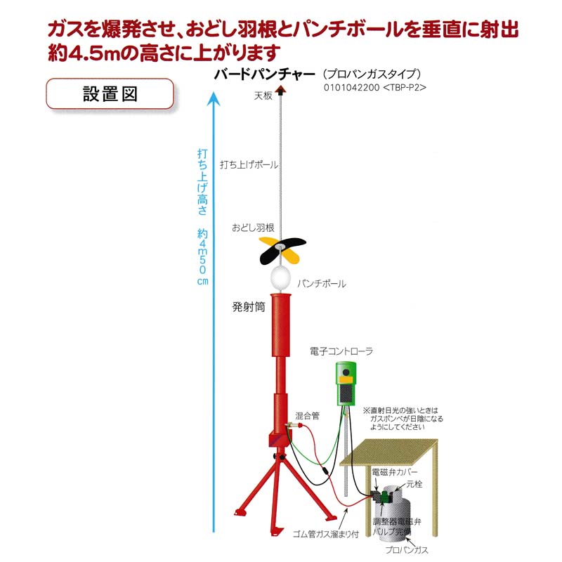 ��100%�ݥ���ȥХå� ����ȥ꡼������2/25�ޤǡۥ������� ŷŨ�˥�� �С��ɥѥ���㡼 �ץ��ѥ󥬥� TBP-P2 ��ȯ�� ���ɤ����� ��Ļ Ļ���к� Ļ���ɻ� �̼��� ���饹 �ҥ�ɥ� �ϥ� �Ŀ��������Բ� ����Բ�