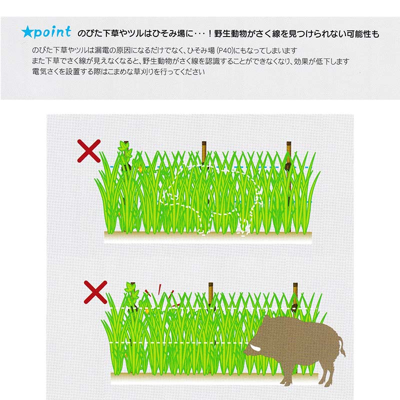 ��100%�ݥ���ȥХå� ����ȥ꡼������2/25�ޤǡۥ������� �����ʥå��� 1005050M TBS-BS1005050 1m��50m�� ���𥷡��� �ŵ������ �����к� �� ���Υ����褱 ���� �ó��ɻ� �ϥ� �̳�ƻ�����Բ� ����Բ�