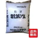 25kg 塩化カルシウム 融雪剤 国産 トクヤマ 塩カル 凍結防止剤 シB 個人宅配送不可 代引不可