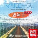 マリエース遮熱＋ E01050TB 250cm × 100m ハウス内張りカーテン用 不織布 [ 保温性 除湿性 遮熱性能 耐久性 収束性 ] 暖房費 節約 服部猛 タS 代引不可