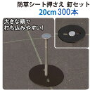 個人宅配送不可 30個 防草シート押さえ 釘セット 10P 20cm 大きな頭で打ち込みやすい 釘抜け防止 第一ビニール 第B 代引不可