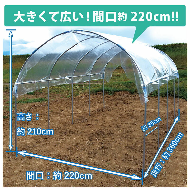 雨除けセットDXワイド W220×H210cm ビニールハウス 組立式 園芸 菜園 家庭菜園 霜...