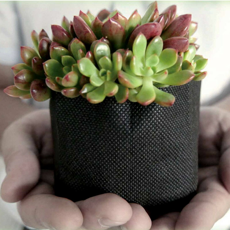 個人宅配送不可 5000個 ボタニカルポット 90 ブラック 日本ポリ鉢販売 90 × 78 BOTANICAL POT 鉢 不織布 エコ 植物由来 タS 代引不可