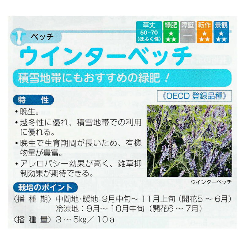 種 1kg ベッチ ウィンターベッチ 緑肥作物 その他 酪農 畜産 緑肥 牧草 タキイ種苗...
