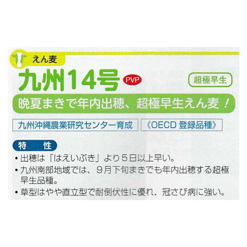 �� 1kg PVP ������ �彣14�� ���ޤ����� ���� �ܻ� ���� ���� ���������� ��S ����Բ� (�������жػ� ��Ͽ�ʼ�̾: �彣14�� ���ӿ建���ʼ���Ͽ:��17460��)