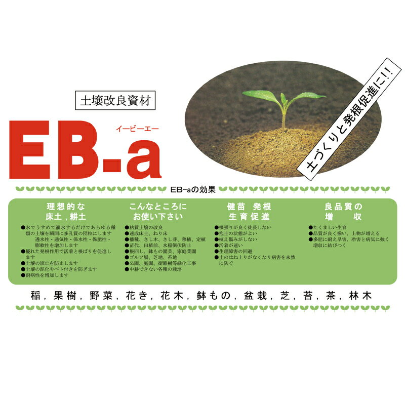 �ھ����ɻ�� EB-a 20L ȯ��¥�� ���� ���� Ȫ �����ڱ� �����ǥ˥� ���� ��� �Ӳ��ع��� ��S ����Բ�
