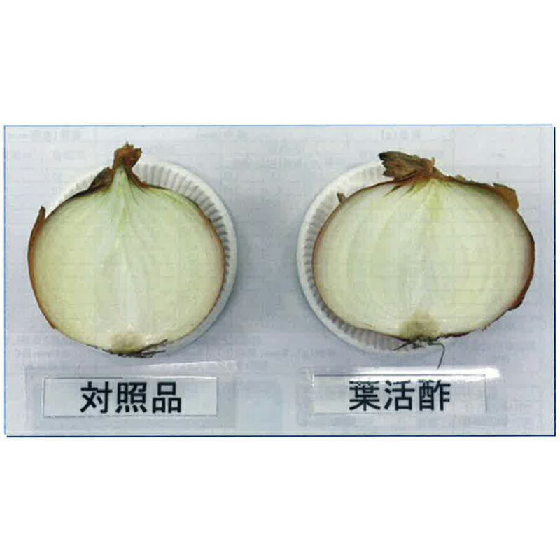 葉面散布用カルシウム肥料葉活酢20L発根促進液肥肥料畑家庭菜園ガーデニング農業園芸キューピー醸造タ種送料無料代引不可