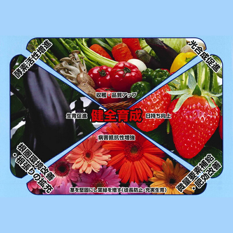 高機能液肥 マルチケーミン リキッド 10L サカタのタネ 総合微量要素剤 肥料 農薬 培養 植物 根張り 促進 土壌 葉面散布 農業 農園 園芸 畑作 サT 代引不可 dw