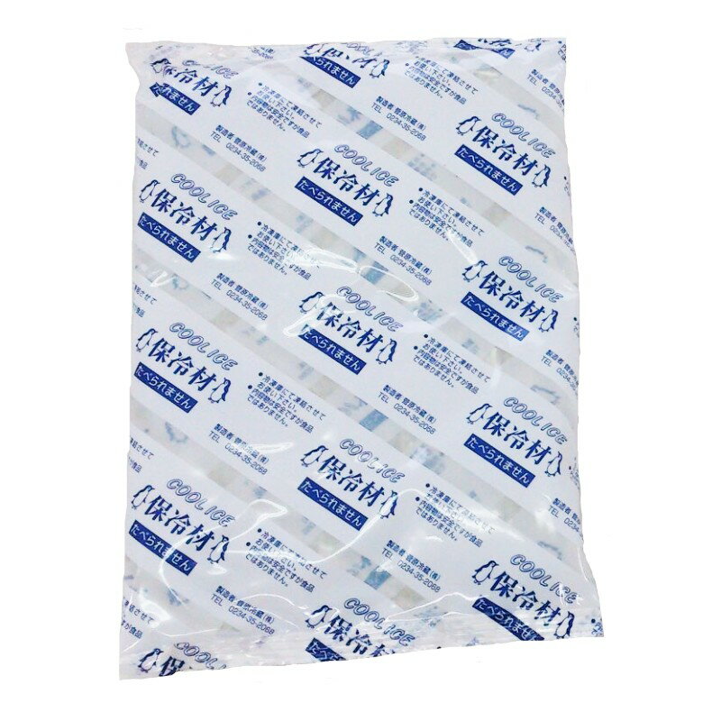 保冷剤 CI800 20個 菅原冷蔵 凍結 キッチン 食品 アウトドア キャンプ 釣り レジャー 買い物 D