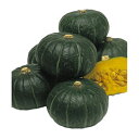 種 カボチャ ほっこり姫 9粒×3袋 タキイ種苗 春まき 種まき 播き 種子 野菜 畑 栽培 家庭菜園 品種 米S D メール便 (登録品種名:ほっこり姫)