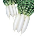 種 ダイコン 三太郎 7.0ml×3袋 タキイ種苗 春まき 種まき 播き 種子 野菜 畑 栽培 家庭菜園 品種 米S D メール便 (登録品種名:三太郎)