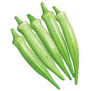 種 オクラ ヘルシエ 90粒×3袋 タキイ種苗 春まき 種まき 播き 種子 野菜 畑 栽培 家庭菜園 品種 米S D メール便