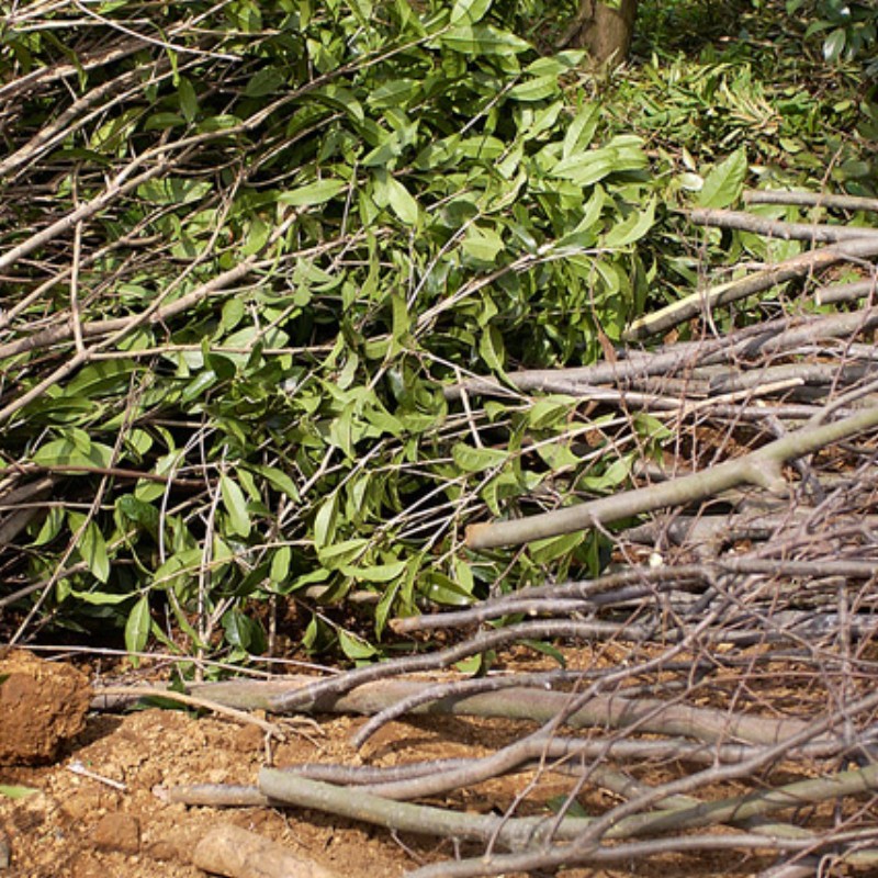 �������å��� ���꡼�󥷥��å��� MPC40A �����»��� ʴ�յ� �겡���� ľ��40mm�б� ���������� ����� ���� ���� ���� ��K �Ŀ��������Բ� ����Բ�