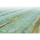 テクテクネオ 100cm×200m ベタがけ 抑制マルチ用 遮光率90% 露地 トンネル内 保温 不織布 エルタス 防霜 防虫 防鳥 タS 個人宅配送不可 代引...