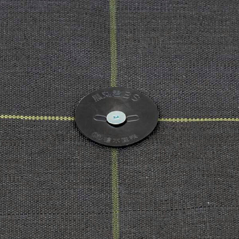 1000�� ���𥢥��ꥷ�����Ѳ������ �磻�ɥ�����塼ţ ���ܥ磻�ɥ����� ľ��6mm��15cm ��� ���𥷡��� ¿��Ū������ ���� �к� ţ �Ŀ��������Բ� ����Բ�