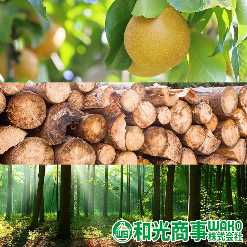 �Ų���������쥹25L OSE-25 �¸����� �������� 25L 2���� ����ץ�å��� �Ť� ���꡼�� ���� ���� D