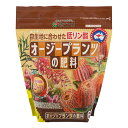 30袋 緩効性化成肥料 オージープランツの肥料 600g 花ごころ 低リン酸 谷型肥料 園芸 菜園 ガーデニング 育苗 育成 タS 個人宅配送不可 代引不可