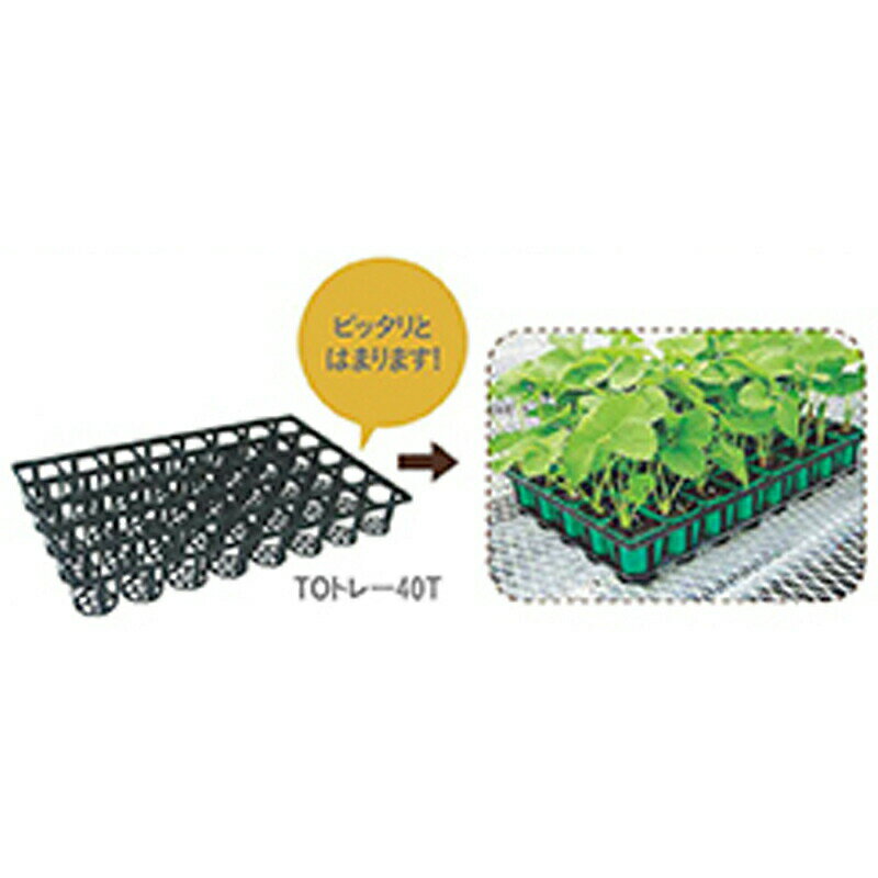 400個 32.8cm×52cm 黒 2.5寸用底面給水トレー 東海化成 京G 送料無料 代引不可