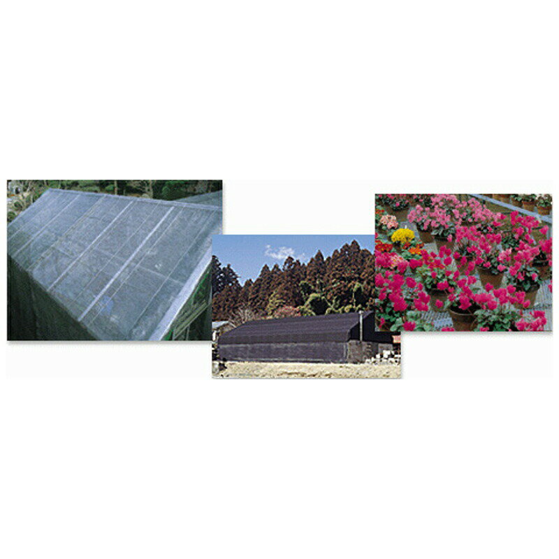 4m��50m �� �׸�Ψ80��85�� �磻�ɥ����꡼�� �׸��ͥå� BK1012 ����� ���ܥ磻�ɥ����� ��S �Ŀ��������Բ� ����Բ�