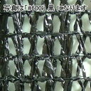 個人宅配送不可 1.8m×50m シルバー 遮光率55〜60% ワイエムネット 遮光ネット #600 寒冷紗 望月 タS 代引不可