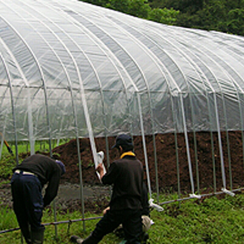 10個 キョージンバンド No.307 ハウス用 黒 300m×10mm 20本×2芯 ビニールハウス 用...
