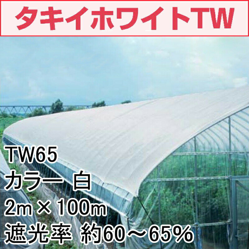 2m 100m 白 遮光率60 65 タキイホワイトtw 種 園芸 遮光ネット Tw65 寒冷紗 土木 タキイ種苗 タ種 送料無料 代引不可 プラスワイズ業者用専門店農業用 遮光ネット