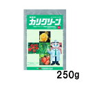 5個 カリグリーン 250g 殺菌剤 OATアグリオ うどんこ病 農薬 Vデ 代引不可 産直