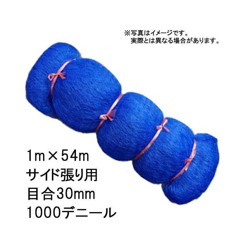 30本 国産 防鳥網 1m×54m サイド張り用 30mm 目合 1000デニール ブルー 防鳥ネット 小商 北海道不可 代引不可