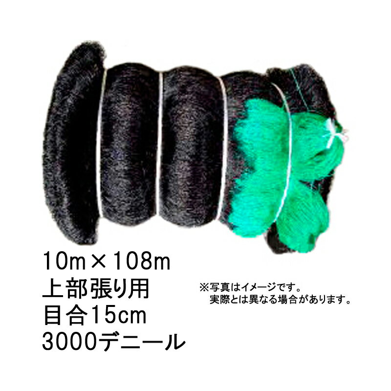 2本 鴨避けネット 上部張り用 10m × 108m 15cm 目合 3000デニール 黒 れんこん 養殖池に 防鳥ネット 小商 北海道配送不可 代引不可