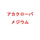 種 4kg アカクローバ メジウム 早生 畑地 酪農 景観用 緑肥 雪印種苗 米S 代引不可 (登録品種名:メジウム)