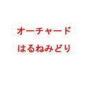 種 3kg PVP オーチャードグラス はるねみどり 早生 牧草 緑肥 雪印種苗 米S 代引不可 (海外持出禁止 登録品種名:はるねみどり 農林水産省品種登録:第15414号)